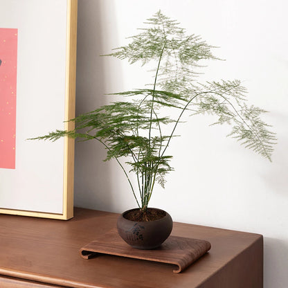 Elegant Rectangular Wooden Tea Tray