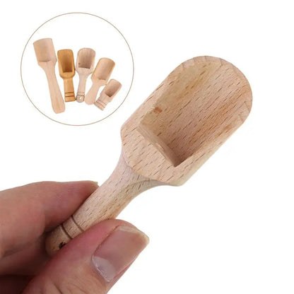 Set of 5 Mini Wooden Scoops