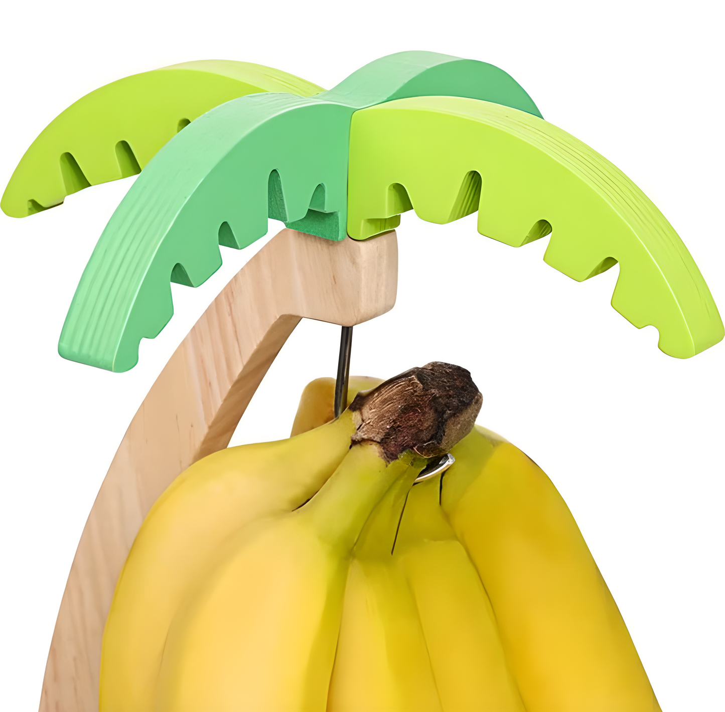 Banana Tree Holder